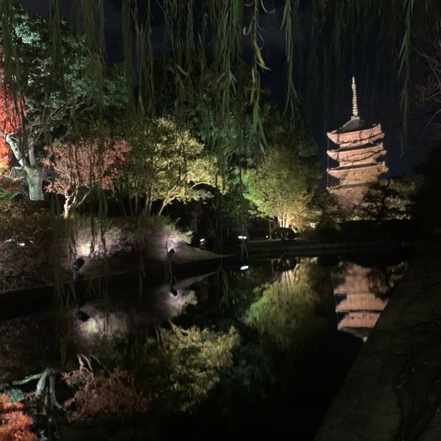 【京都】東寺のライトアップ♡