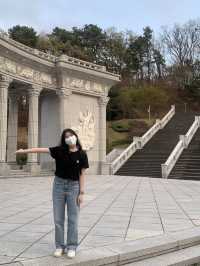 벚꽃 구경은 경희대학교에서 🏛️🌸