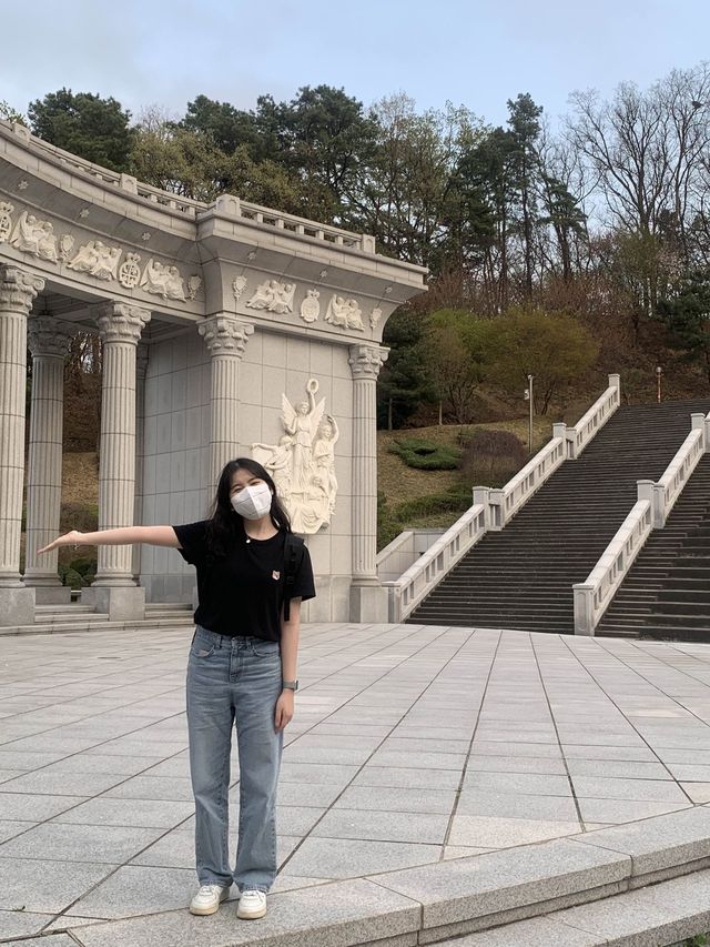 벚꽃 구경은 경희대학교에서 🏛️🌸