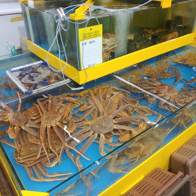 인천 영종도 구읍뱃터를 가보자