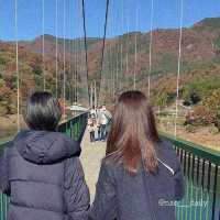 【紅葉の山々に囲まれた🍁もみじ谷大吊橋】