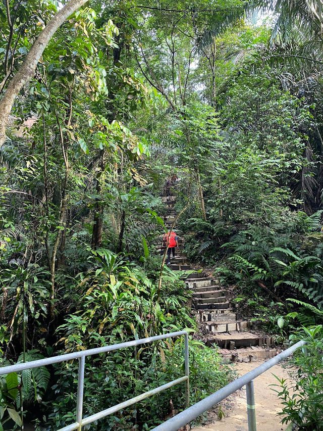 Bukit Gasing Hiking Trail 👣✨