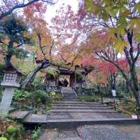 盛茂紅葉中體驗靜謐境界 – 常寂光寺
