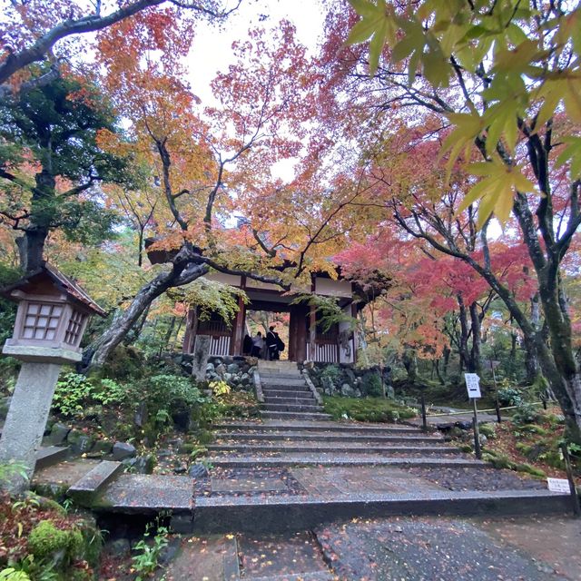 盛茂紅葉中體驗靜謐境界 – 常寂光寺
