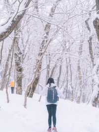 제주 눈 올때 갈만한 코스! 윗세오름 등반 ❄️