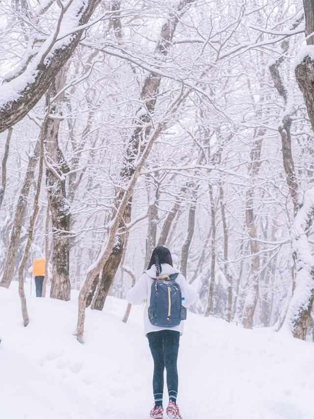 제주 눈 올때 갈만한 코스! 윗세오름 등반 ❄️