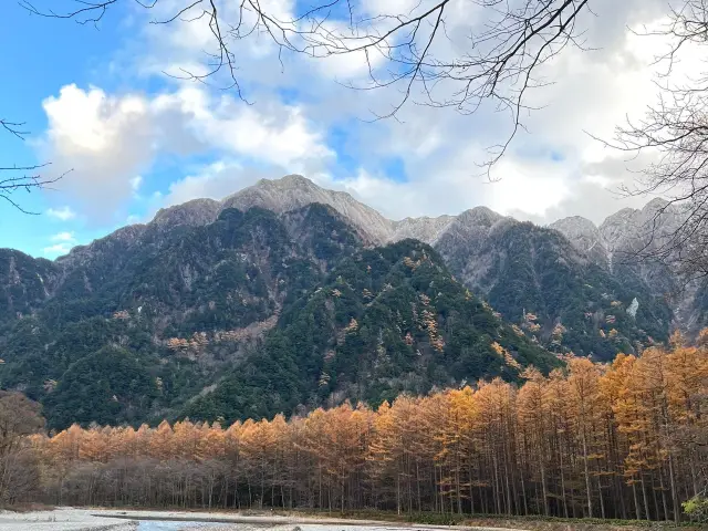 上高地⛰️日本阿爾卑斯上的絕色美景