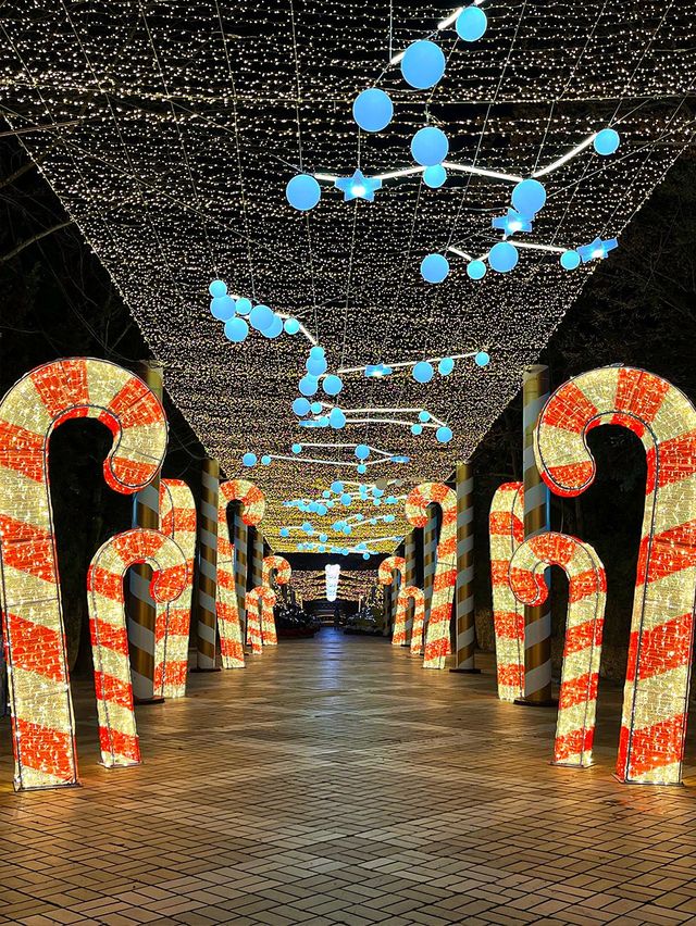 대구 필수 여행 코스 🎡 동화 속 빛의 향연✨
