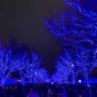 青の洞窟と表参道のイルミネーション💡💡