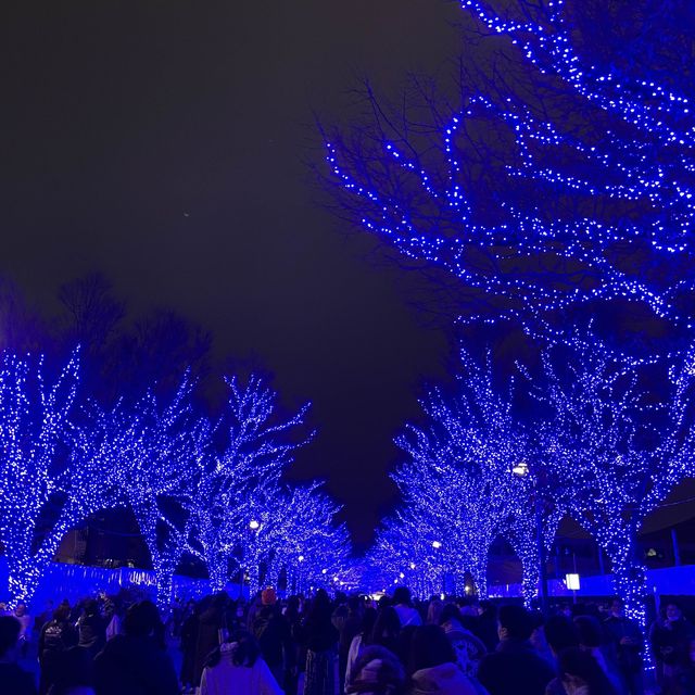 青の洞窟と表参道のイルミネーション💡💡