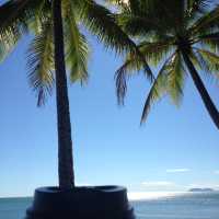 Palm Cove | Paradise  