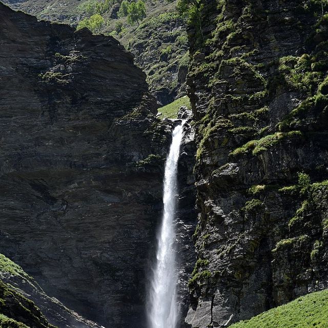 Rohtang pass enjoyed 