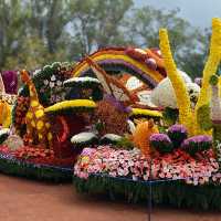 Panagbenga Festival, Baguio City