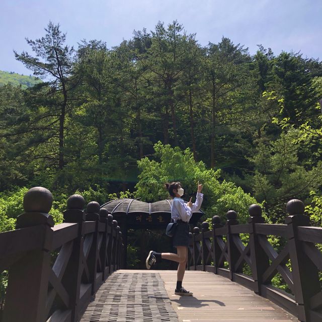 지리덕후 모여라 🦇삼척 환선굴🦇