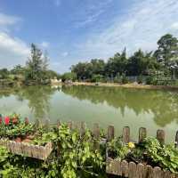 界篇｜隱世歐陸田園小屋🏞｜置身外國世外桃園｜河上鄉何時河地cafe👒