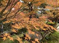 京都[紅葉めぐり] 南禅寺　天授庵- 枯山水庭園にて和む -
