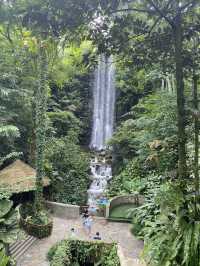 largest man-made waterfall in Jurong