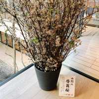 【神奈川県】ホテルメトロポリタン鎌倉