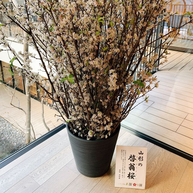 【神奈川県】ホテルメトロポリタン鎌倉