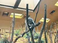 名古屋【東山動植物園】