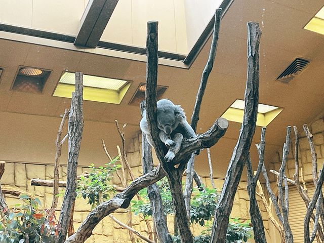 名古屋【東山動植物園】