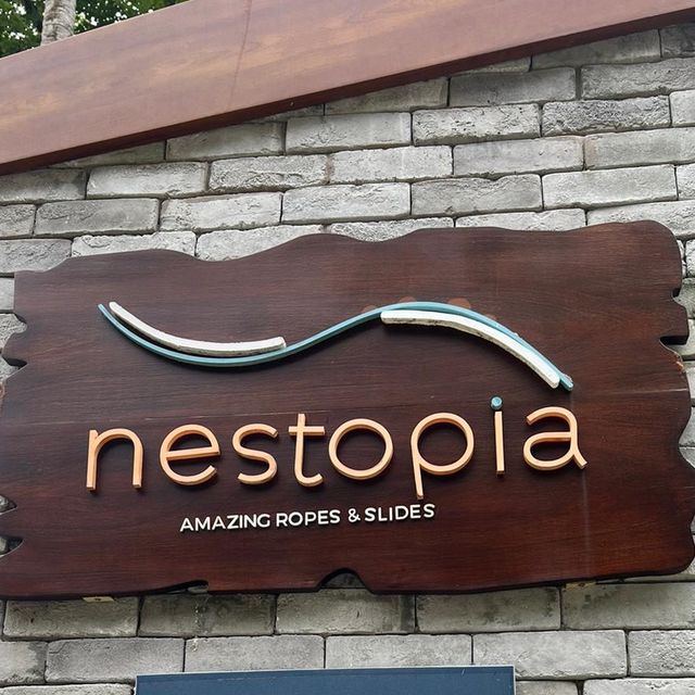Planning Your Visit To Nestopia