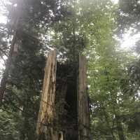「三猿」を見ました