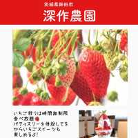 関東のいちご狩りスポットまとめ6選
