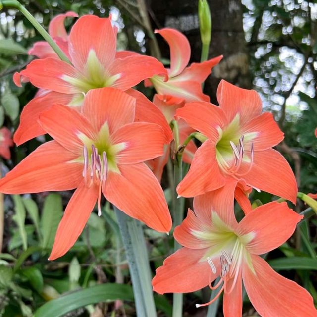 小西灣居民行山好去處