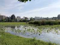 【東京・上野】上野恩賜公園