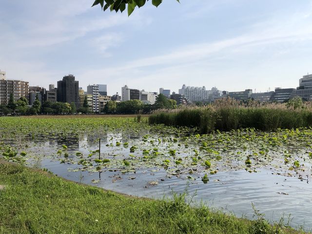 【東京・上野】上野恩賜公園 【東京・上野】上野恩賜公園