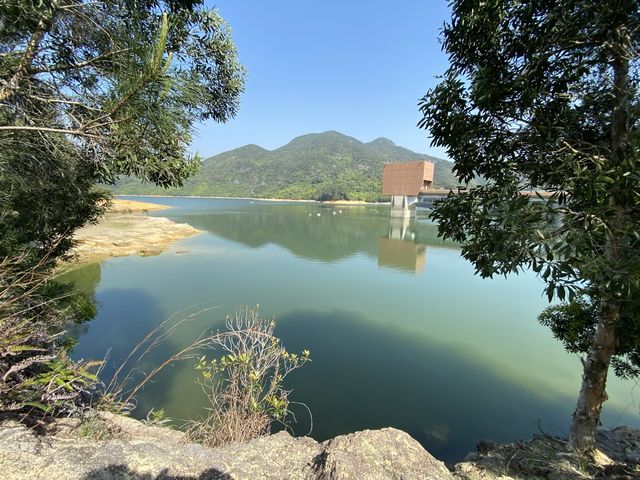 帶你近距離欣賞大欖水塘