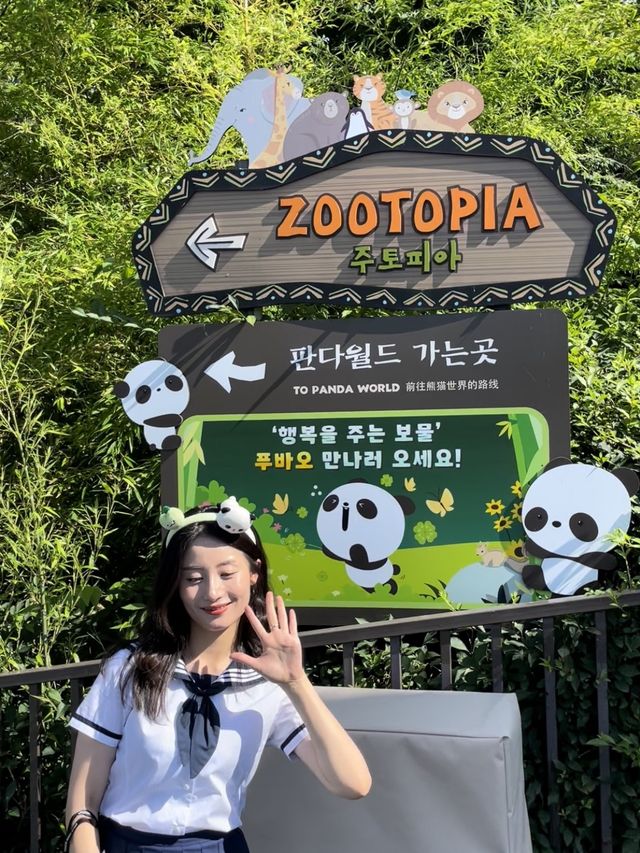 어른도 언제나 꿈꿀 수 있는 에버랜드🎡🎢🎠