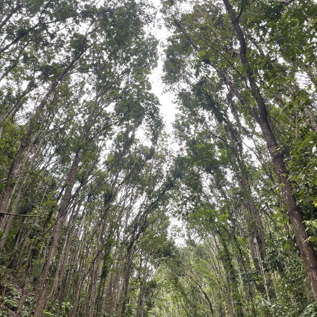 Beautiful Bohol!