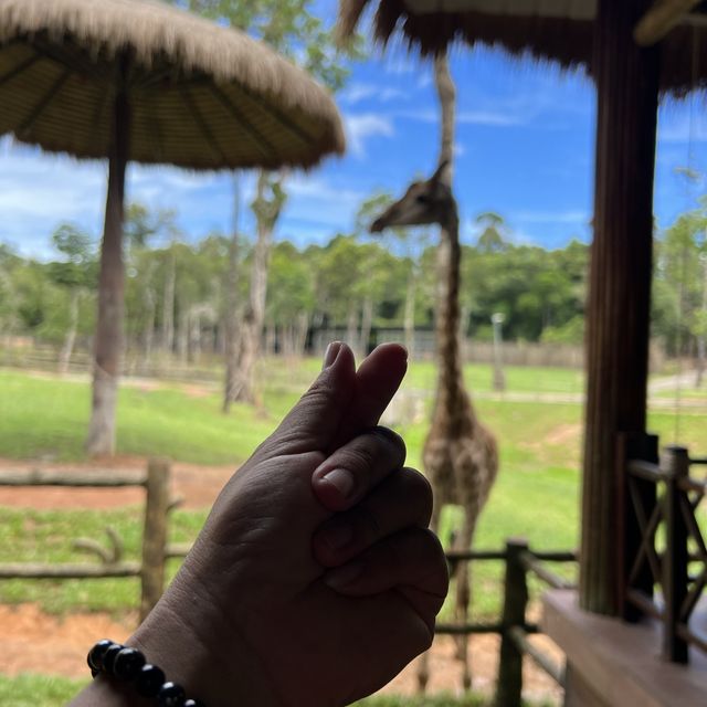 Trip Koh Trol $ Prey Nokor