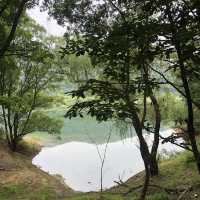 대청호 오백리길 운치있는 산책길🌳