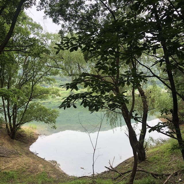 대청호 오백리길 운치있는 산책길🌳