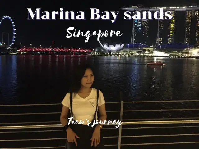 ชม Marina Bay Sands ยามค่ำคืน