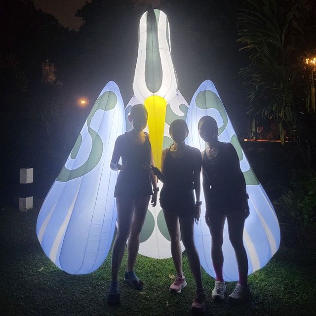 SGNIGHTFEST ✨Scenic lights Trail 