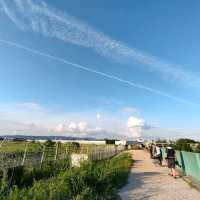 【大阪 伊丹空港ITM 】飛行機に手が届きそうな千里川✈️