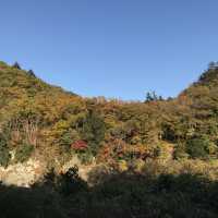 長瀞の紅葉ちょー綺麗！是非行ってみてください