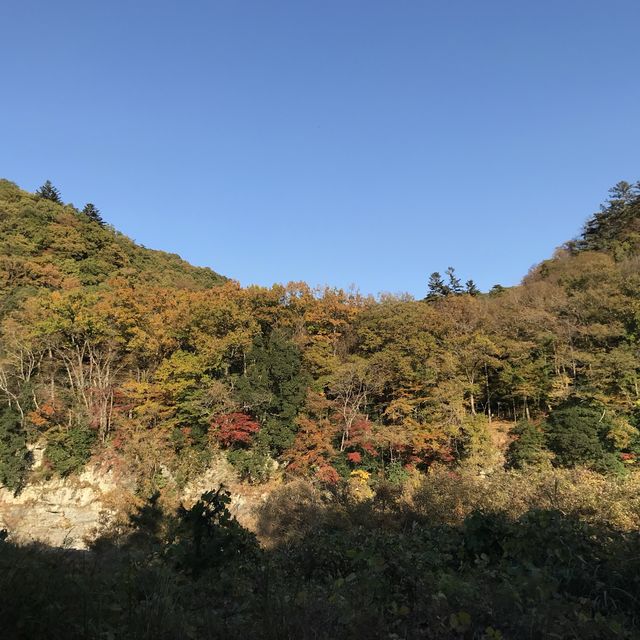長瀞の紅葉ちょー綺麗！是非行ってみてください
