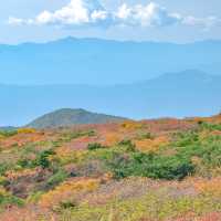 蔵王山頂レストハウスからの景色