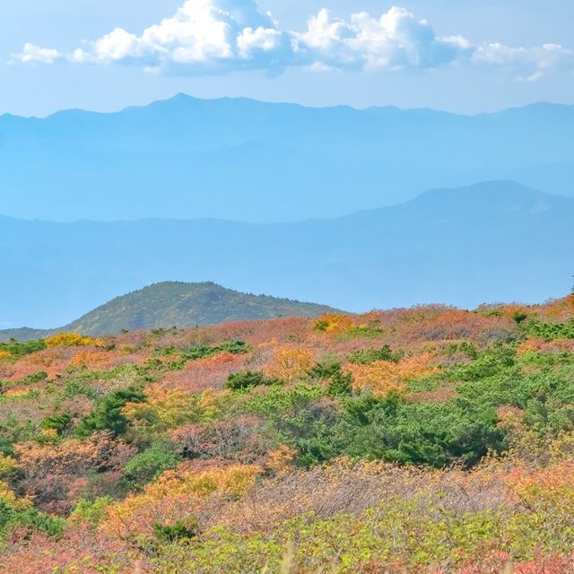 蔵王山頂レストハウスからの景色