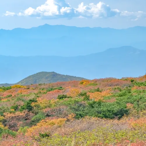 蔵王山頂レストハウスからの景色