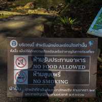 น้ำตกโยง อ.ทุ่งสง นครศรีธรรมราช 
