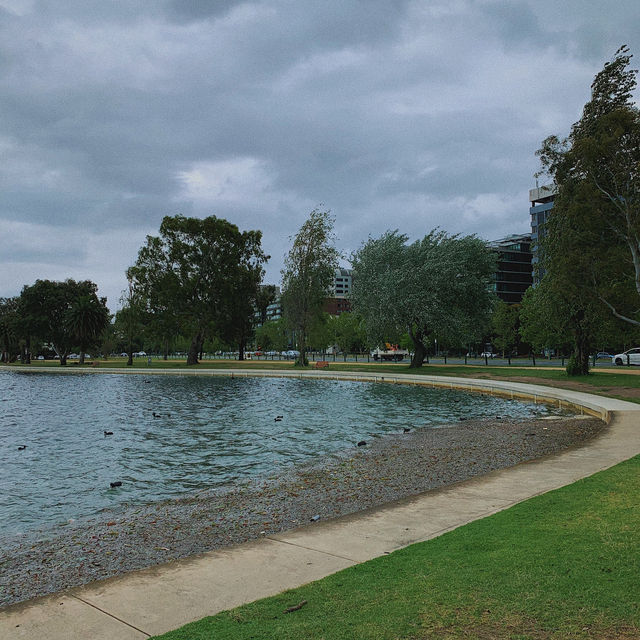 Albert Park 💙 멜버른에서 피크닉해요