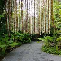 กะทิบ้านอาหารไทยและขนม