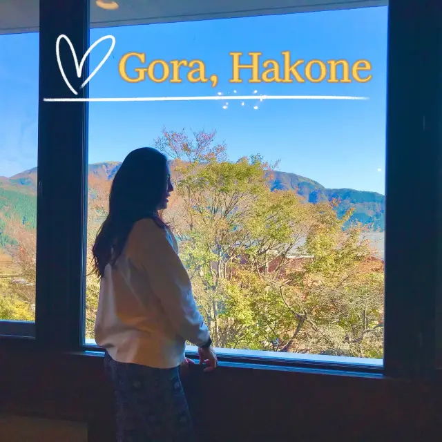 Kasansui Hotel, Hakone 