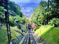 Train to Nature ❤️
